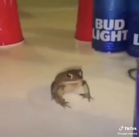 It's cursed Wednesday, my dudes