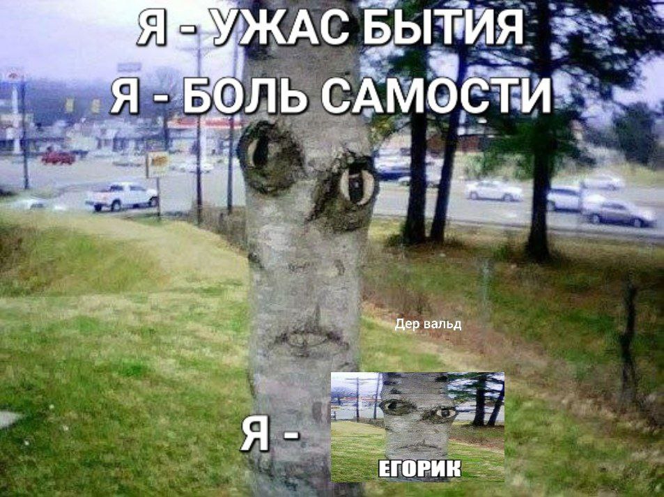 4 УЖАС БЫТИЯ БОЛЬ a to, вальд Я ЕГОРИК