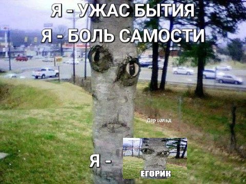 4 УЖАС БЫТИЯ БОЛЬ a to, вальд Я ЕГОРИК
