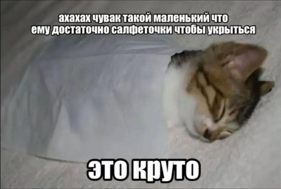 ахахах чувак такой маленький что ему достаточно салфеточки чтобы укрыться это круто