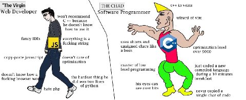 in veins “The Virgin THE CHAD Web Developer Software Programmer won't recommend wizard of vim because he doesn't know how to use it fancy IDEs everything isa uses shorts and fucking string unsigned ch