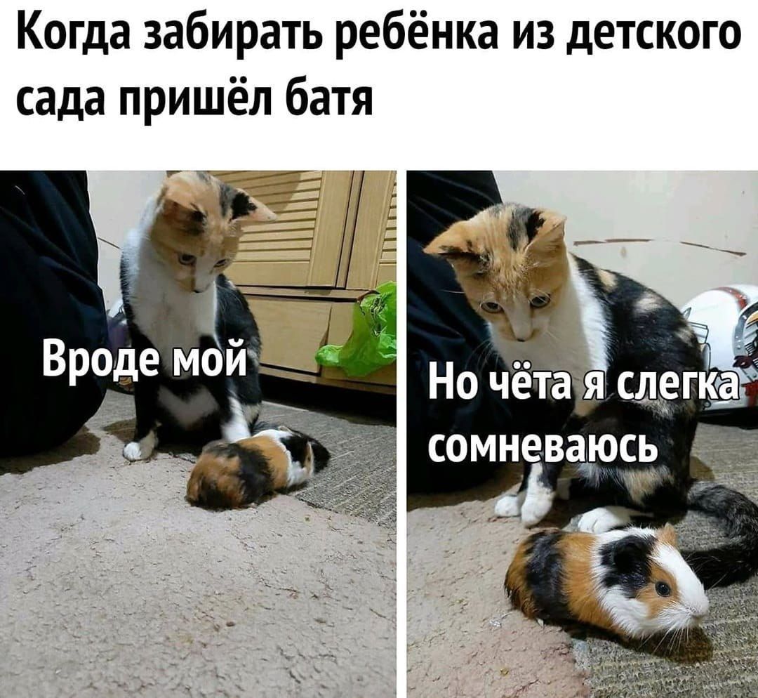 Когда забирать ребёнка из детского сада пришёл батя Вроде МОЙ Но слегке сомневаюсь