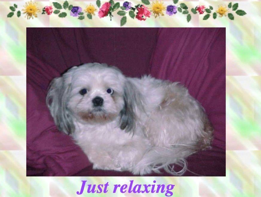 1 Just relaxing