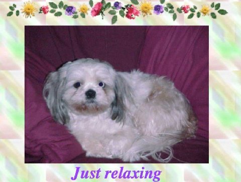 1 Just relaxing