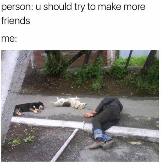 person: и should try to make more friends me