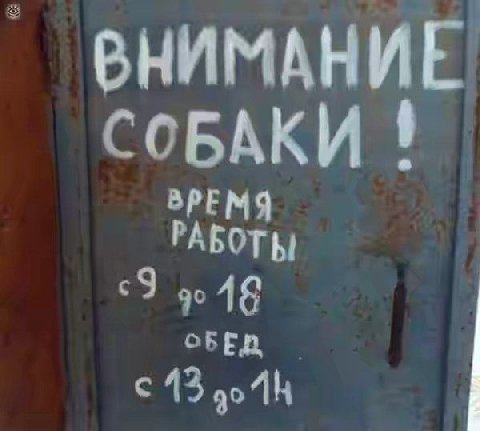 ВНИМАНИЕ СОБАКИ ВРЕМЯ РАБОТЫ 18