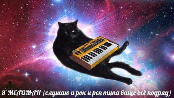 Я МЕЛОМАН (слушаю и рок и pen muna подряд