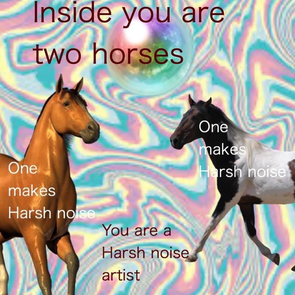 Insidé you are two horses ПО You are.a Harsh nois artist