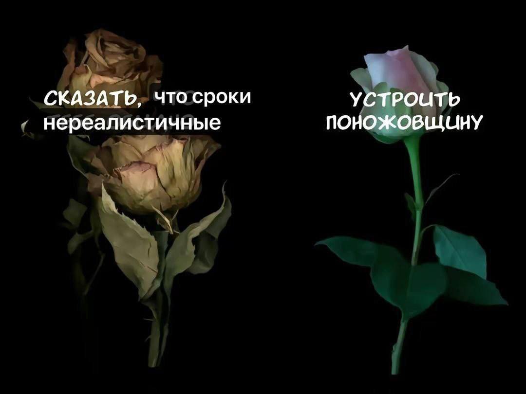 СКАЗАТЬ, что сроки УСТРОИТЬ нереалистичные ПОНОЖОВЩИНУ