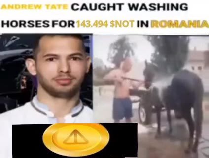 анотт 1777 CAUGHT WASHING HORSES FOR 143.494 SNOT INROMANIA