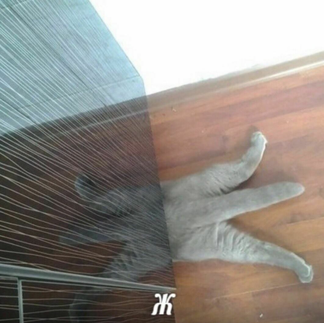 Ж