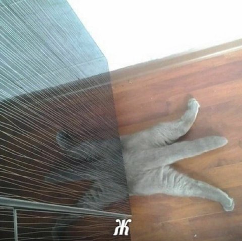 Ж