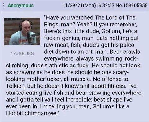 Anonymous №.159905858 "Have you watched The Lord of The Rings, man? Yeah? If you remember, there's this little dude, Gollum, he's a fuckin’ genius, man. Eats nothing but raw meat, fish; dude's got his