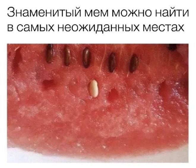 Знаменитый мем можно найти в самых неожиданных местах