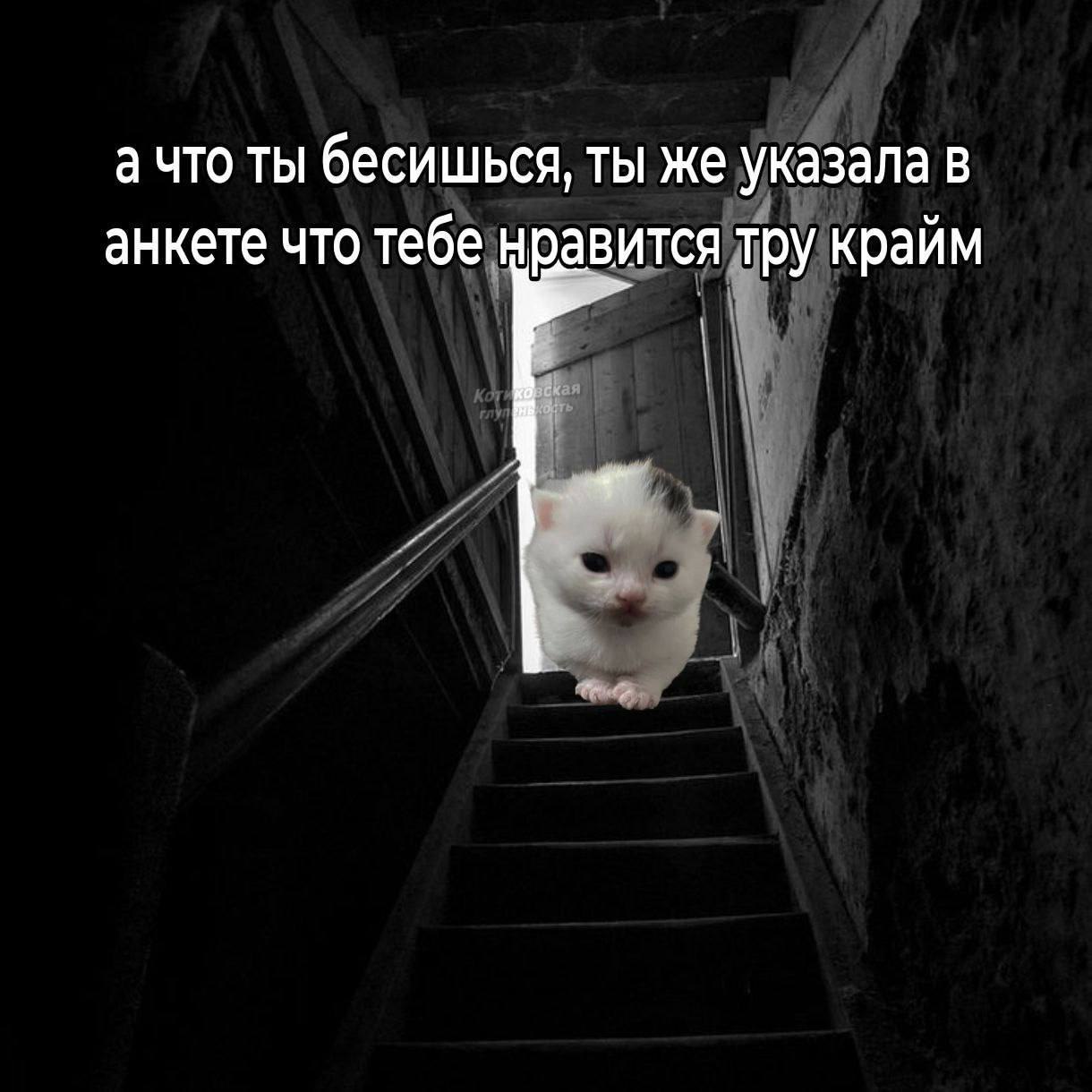 ачто ты бесишься, ты же указала в анкете что тебе нравится тру крайм