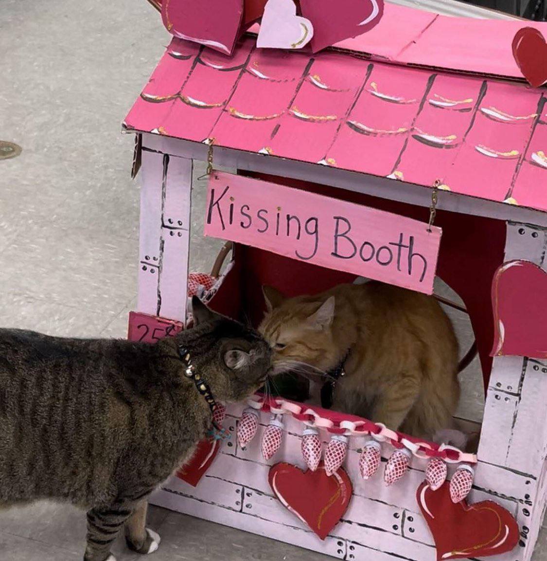 Be Kissin А