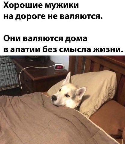 Хорошие мужики на дороге не валяются. Они валяются дома в апатии без смысла жизни. `7