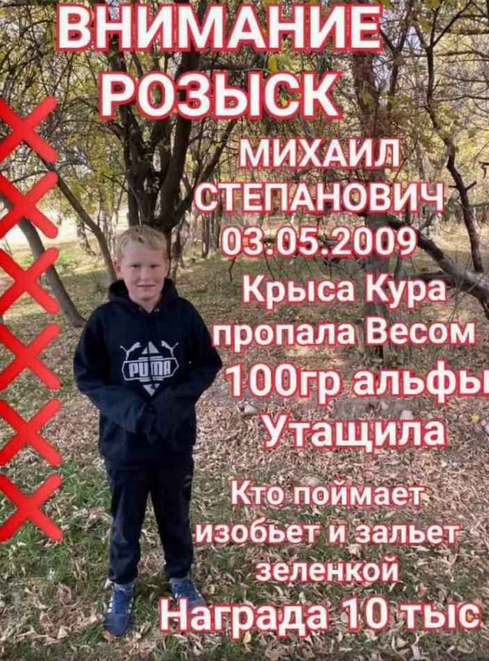 `РОЗЫСК СТЕПАНОВИЧ: Крыса Кура пропала Весом альфы поймает изобьет и зальет: зеленкой Награда. 10 тыс