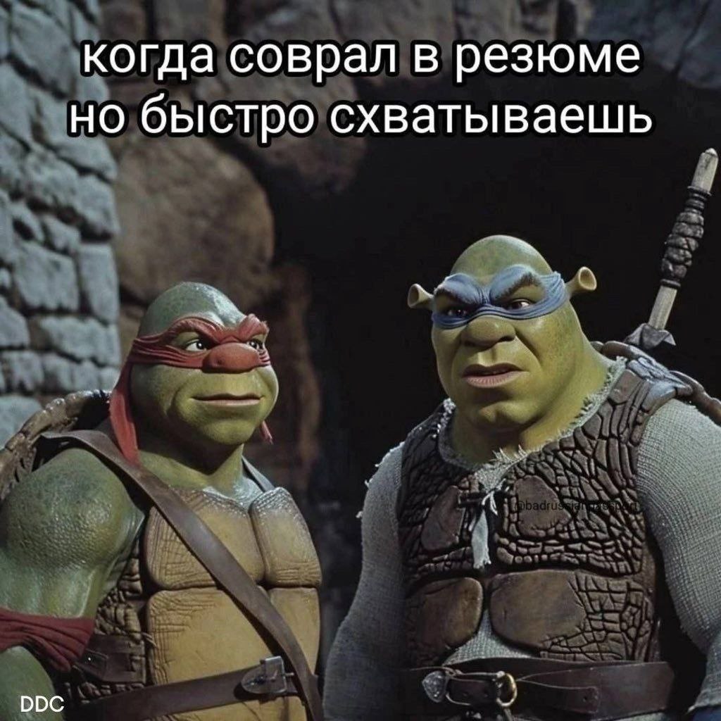 когда соврал в резюме но быстро схватываешь рос