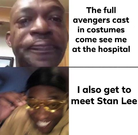 The full avengers cast in costumes come see me at the hospital also get to meet Stan Lee