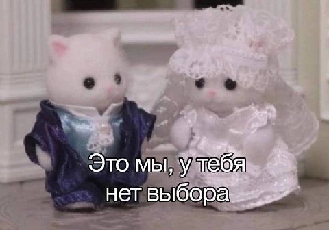 Это мы, у тебя нет выбора.
