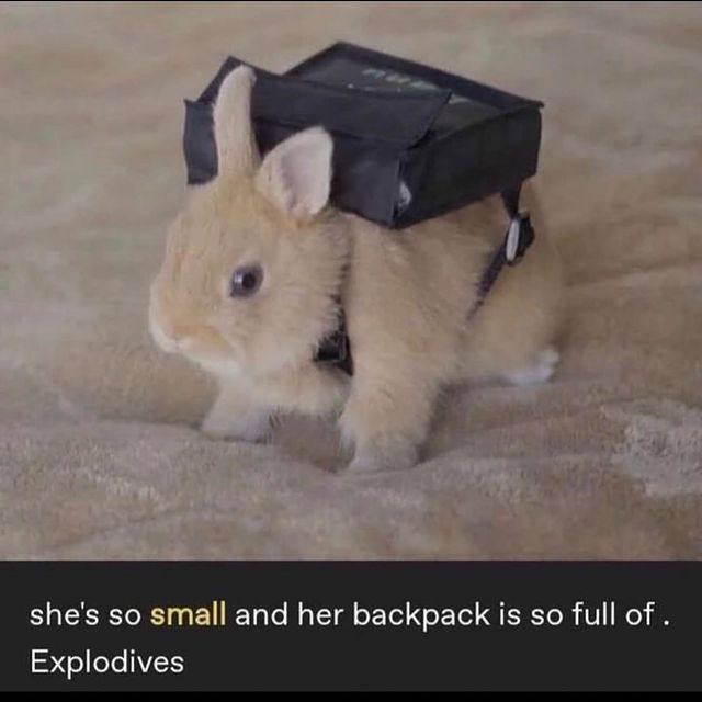 she's so small and her backpack is so full of Explodives