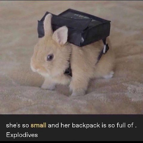 she's so small and her backpack is so full of Explodives