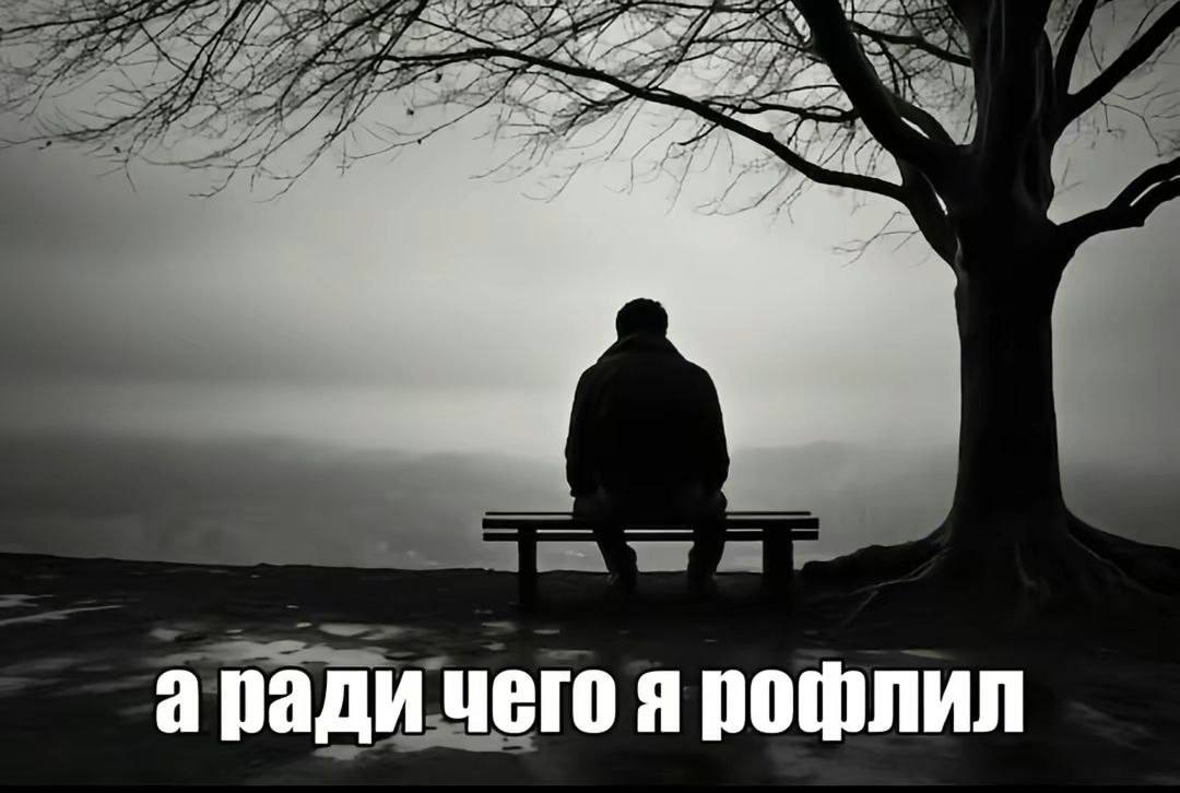 аради чего я рофлил