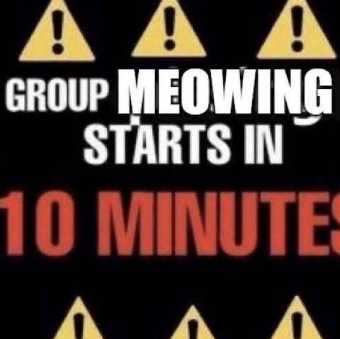 А А А croup MEOWING STARTS IN A A A