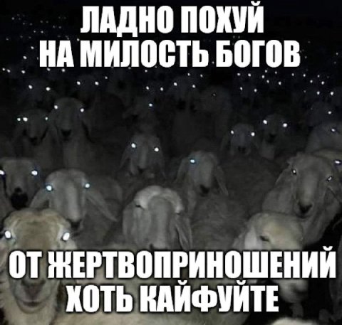 ЛАДНО НАМИЛОСТЬ БОГОВ КОТЬ КАЙФУЙТЕ