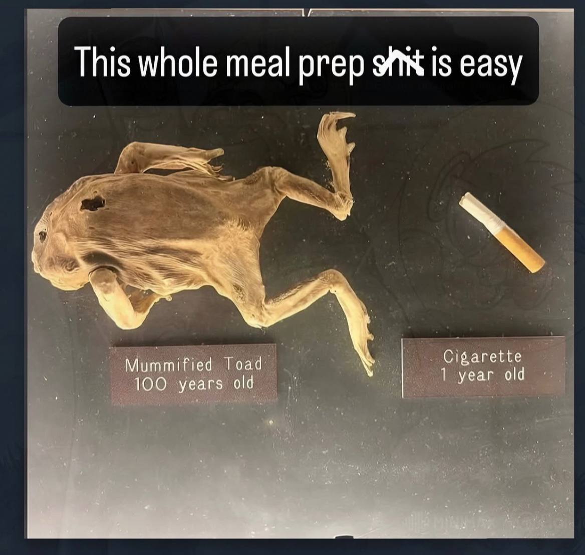 iva This whole meal prep Is easy Mummified oad 100 years old 1 year old