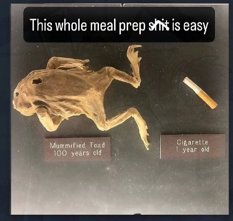 iva This whole meal prep Is easy Mummified oad 100 years old 1 year old