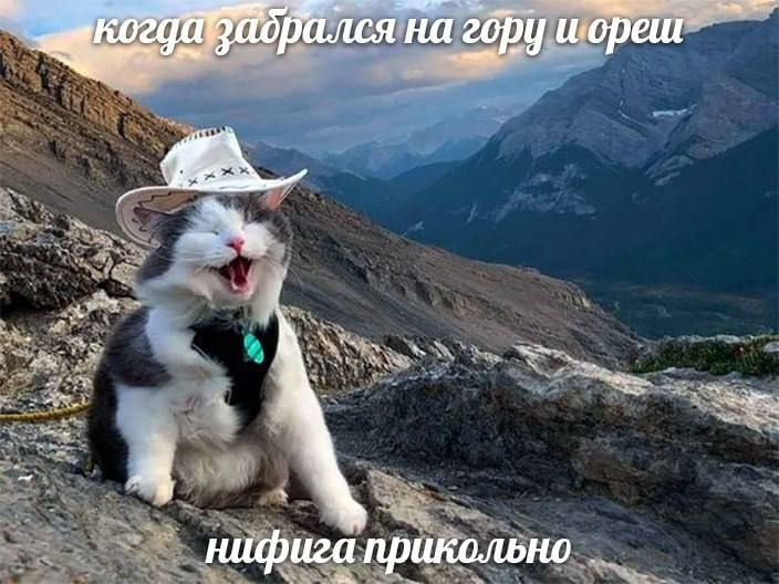 на wopeur 4 нифига прикольно