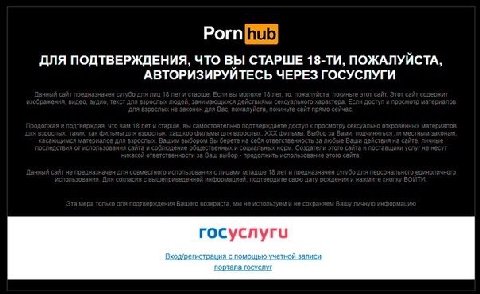 Рогп ДЛЯ ПОДТВЕРЖДЕНИЯ, ЧТО ВЫ СТАРШЕ ПОЖАЛУЙСТА, АВТОРИЗИРУЙТЕСЬ ЧЕРЕЗ ГОСУСЛУГИ rocycnyru Входгрегистрация с помещью учетной записи портава (ocycryt