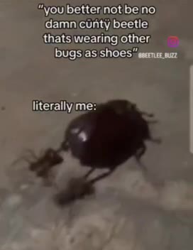 ‘damn\cunty beetle thats wearing other, bugsias/shoes i: syou)betternot beino "уоцБенетпо! Бе по “you better notibe no