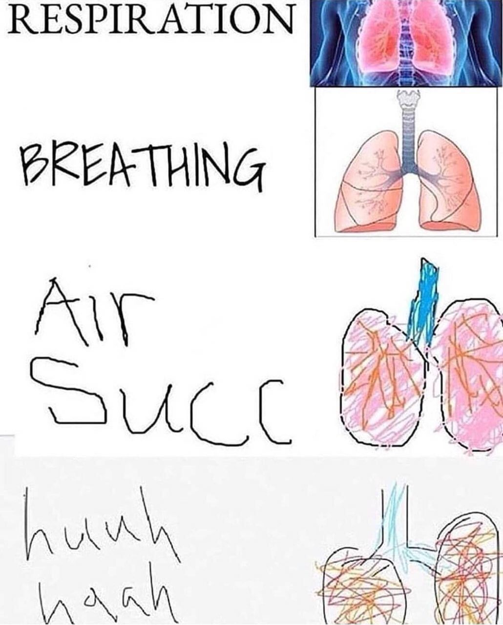 RESPIRATION 2 A