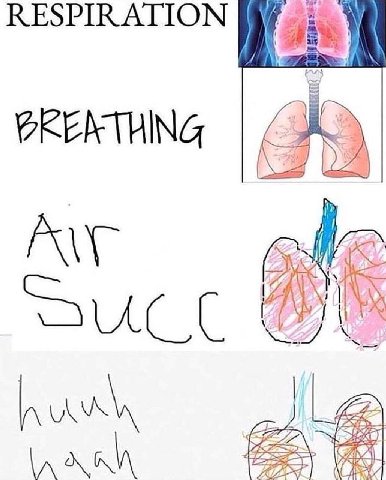 RESPIRATION 2 A
