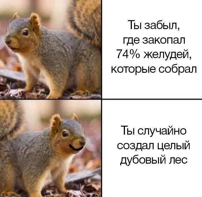 Ты забыл, где закопал 74% желудей, которые собрал Ты случайно A создал целый дубовый лес A