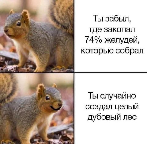 Ты забыл, где закопал 74% желудей, которые собрал Ты случайно A создал целый дубовый лес A
