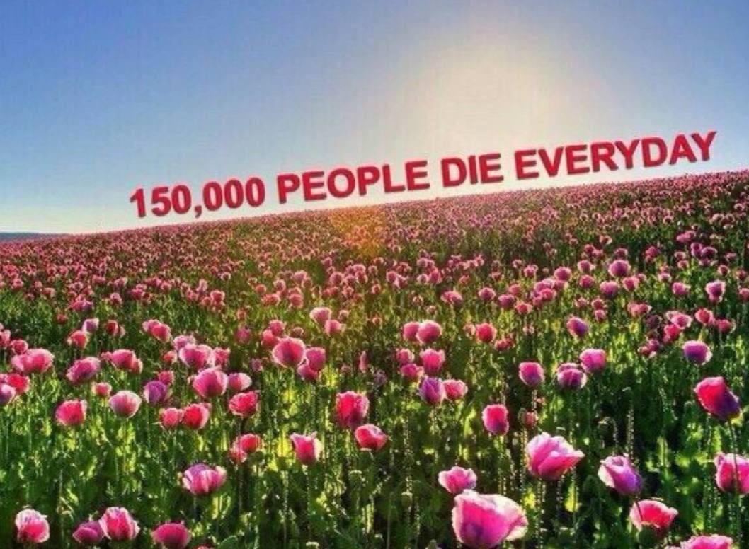DIE EVERYDA РЕОР 4 50,000 a? A А i