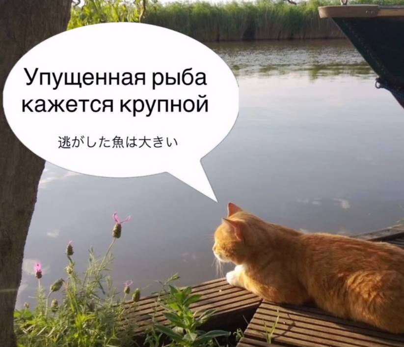 Упущенная рыба кажется крупной