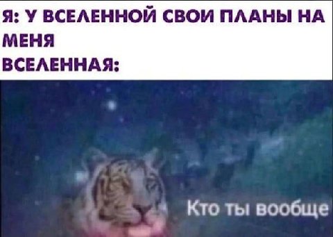 Я: У ВСЕЛЕННОЙ СВОИ ПЛАНЫ НА МЕНЯ ВСЕЛЕННАЯ: Кто ты вообще