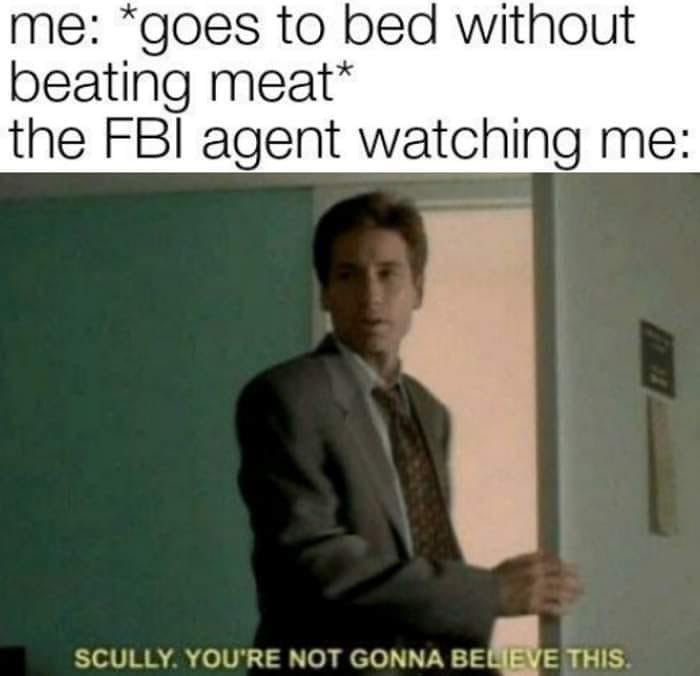me: “goes to bed without beating meat* the FBI agent watching me: SCULLY. YOU'RE NOT GONNA THIS.
