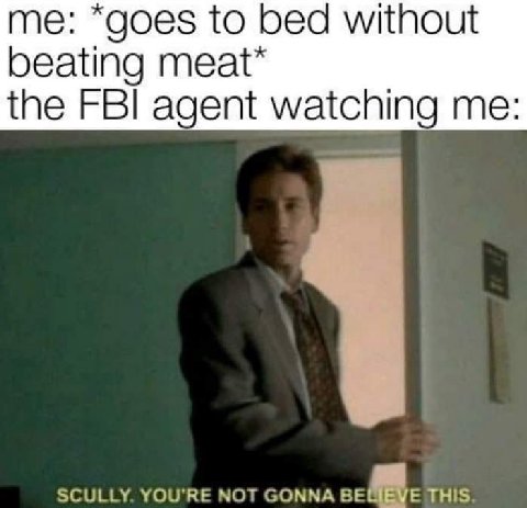 me: “goes to bed without beating meat* the FBI agent watching me: SCULLY. YOU'RE NOT GONNA THIS.