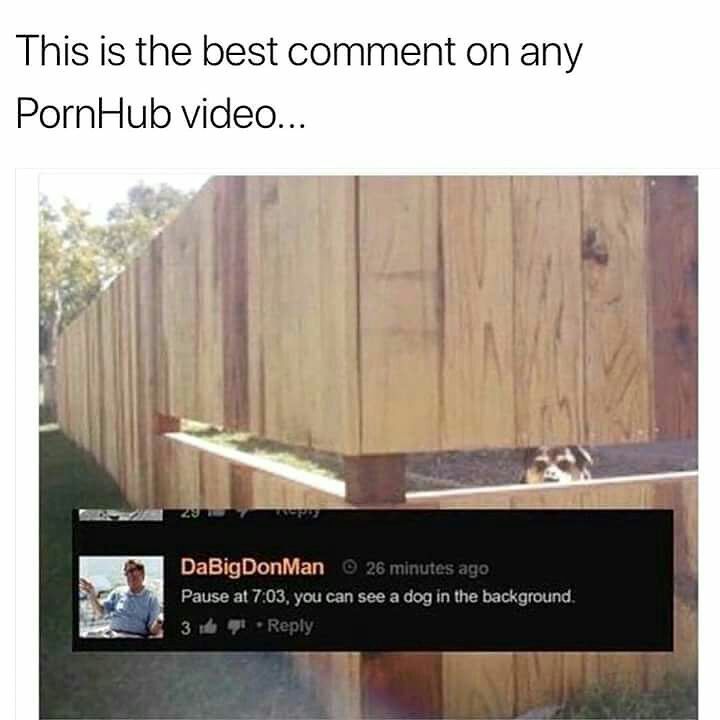 This is the best comment any PornHub video... DaBigDonMan Pause at 7:03, you can see a dog in the background