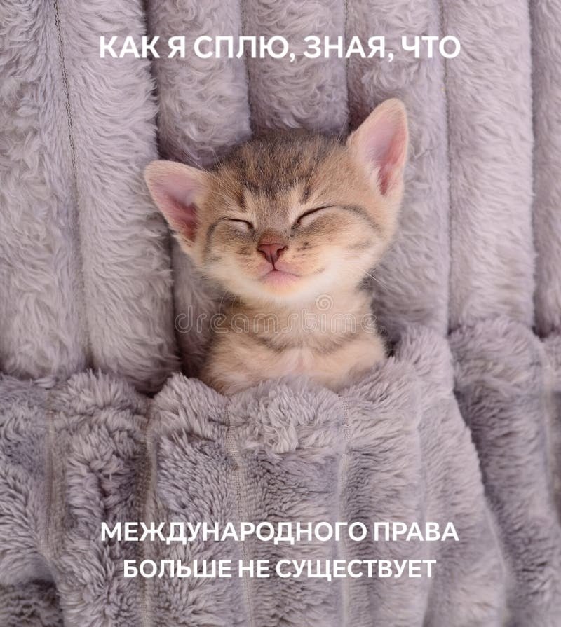 КАКЯ СПЛЮ, ЗНАЯ, что МЕЖДУНАРОДНОГО ПРАВА БОЛЬШЕ НЕ СУЩЕСТВУЕТ