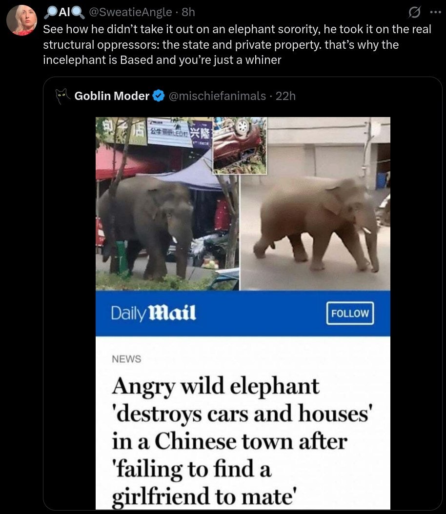See how he didn’t take it out on an elephant sorority, he took it on the real structural oppressors: the state and private property. that’s why the incelephant is Based and you're just a whiner Goblin