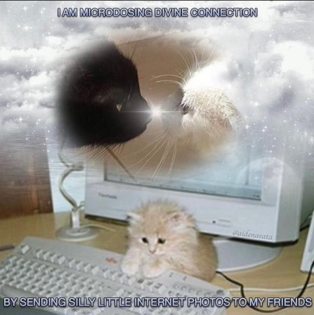DIVINE CONNECTION у BY/SENDING UNS