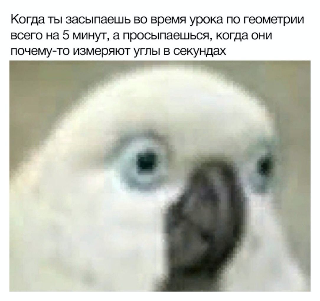 Когда ты засыпаешь во время урока по геометрии всего на 5 минут, а просыпаешься, когда они почему-то измеряют углы в секундах