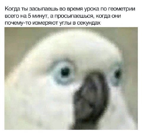 Когда ты засыпаешь во время урока по геометрии всего на 5 минут, а просыпаешься, когда они почему-то измеряют углы в секундах